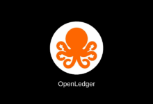 تعرف أكثر على عملة OPEN الرقمية 45 عملة OPEN الرقمية