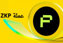 ما هو مشروع zkPass وعملته الرقمية ZKP؟ 42 images 1
